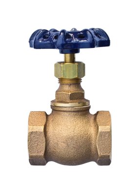 Beyaz arka plan üzerinde izole bronz diskli Vana