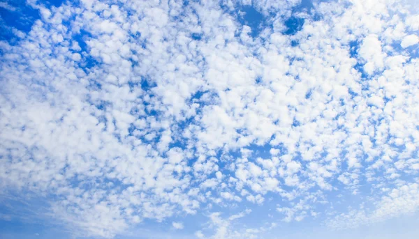 Wide scene of clouds in blue sky. Stock Picture