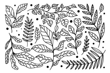 Set plant modern abstract. Floral nature fancy collection.Hand drawing form leave and texture.Vector illustration. clipart