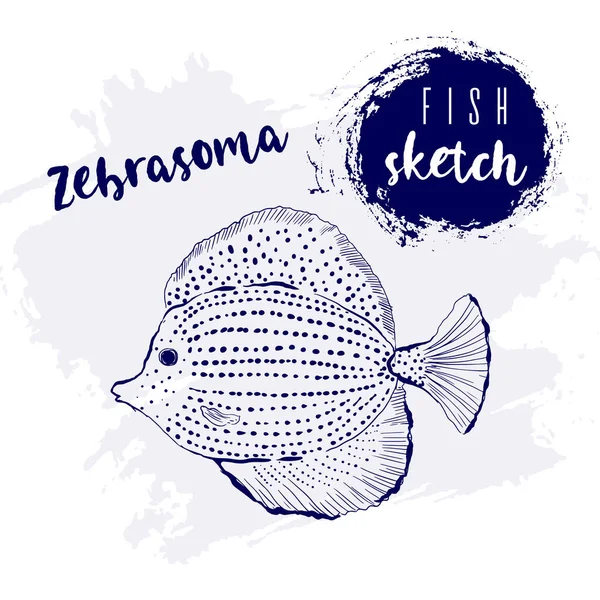 Vintage fish zebrasoma marine sketch.Retro line style.Hand drawn underwater. —  Vetores de Stock