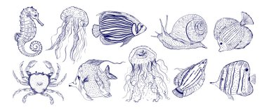 Balık koleksiyonu. El çizimi. Yengeç, salyangoz, denizatı, denizanası ve diğer şeyler..