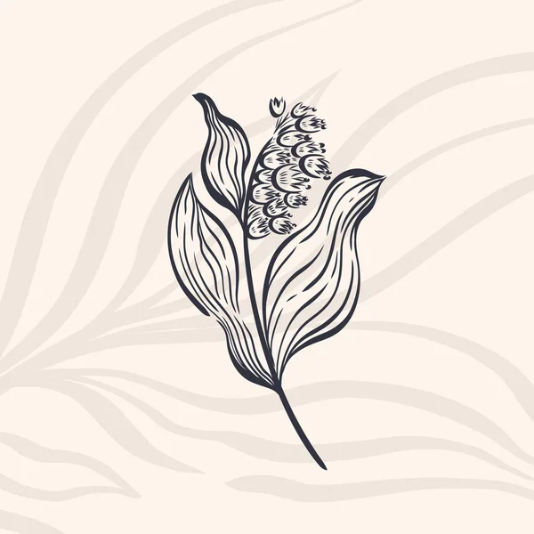 Natažená přírodní ruka. Květinové botanické prvky.Elegante vintage style.Izolované v bílém pozadí. — Stockový vektor