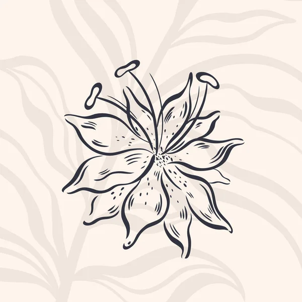 Naturaleza vegetal dibujada a mano. Elemento botánico floral.Elegante estilo vintage. Aislado en fondo blanco. — Vector de stock