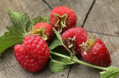 Olgun ve tatlı ahududular küçük bir kasede ve ahşap bir kenevirin üzerinde yatıyor.