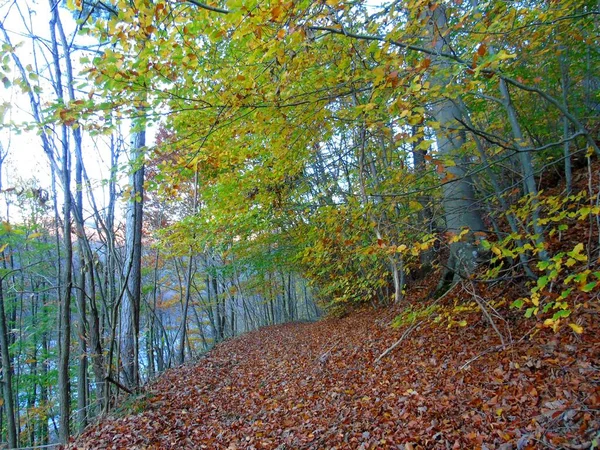 Ligurie Itálie 2020 Barevná Podzimní Krajina Kolem Obce Tiglieto Města — Stock fotografie