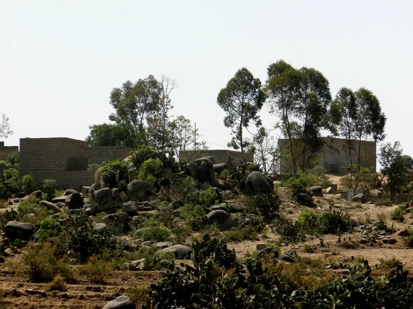 テッセニー エリトリア 2020年10月11日 エチオピアの国境近くの村からの風景の美しい写真 いくつかの家畜と古い砂漠の村 — ストック写真