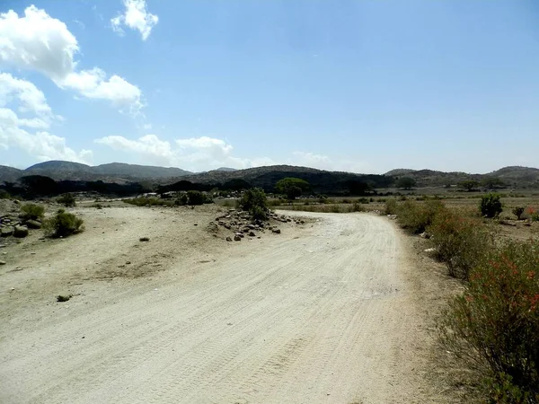 Tesseney, Eritrea - 10/11/2020: Beautiful photography of the landscape from the villages near the bord from Ethiopia. Old desert villages with some domestic animals.