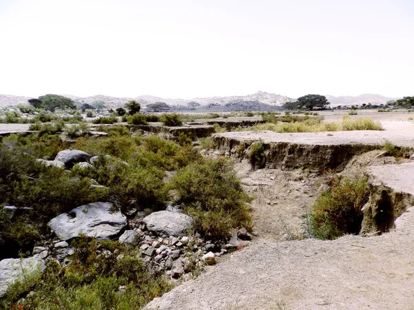 Tesseney, Eritrea - 10/11/2020: Beautiful photography of the landscape from the villages near the bord from Ethiopia. Old desert villages with some domestic animals.