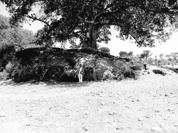 Tesseney Eritrea 2020 Beautiful Photography Landscape Villages Bord Ethiopia Old — Stock Photo, Image