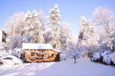 Liguria, İtalya - 22 Aralık 2020: İtalya 'daki ilk yoğun kar yağışı. Gri ve mavi gökyüzü ile beyaz arkaplanın güzel fotoğrafları. Kar ve birkaç buzlu ağaç..