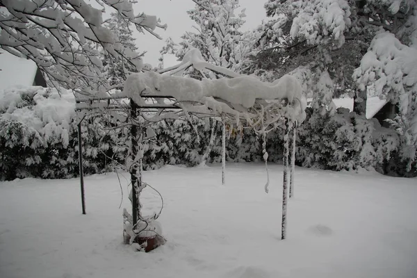 Liguria, Italy - December, 02,2020: First heavy snow from the villlage in Italy. Beautifull photography of the white background with grey and blue sky. Snow and some iced trees.