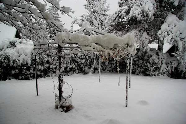 Liguria, Italy - December, 02,2020: First heavy snow from the villlage in Italy. Beautifull photography of the white background with grey and blue sky. Snow and some iced trees.