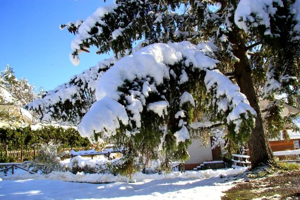 Ligurien Italien Dezember 2020 Der Erste Schwere Schnee Aus Dem — Stockfoto