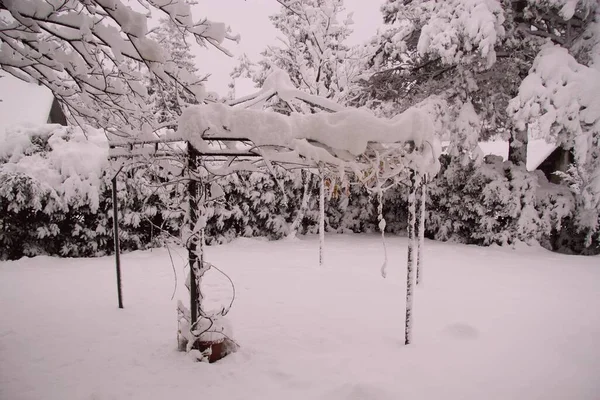 Liguria, Italy - December, 02,2020: First heavy snow from the villlage in Italy. Beautifull photography of the white background with grey and blue sky. Snow and some iced trees.