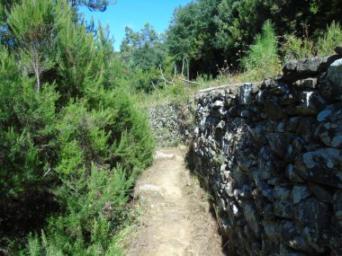 Cinque Terre, İtalya - 09 / 02 / 2020: Bir kıyı balıkçı köyünün güzel manzarası, pek çok küçük renkli ev manzarası, Cinque Terre adlı küçük İtalyan kasabasının geleneksel mimarisi