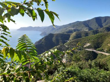 Cinque Terre, İtalya - 09 / 02 / 2020: Bir kıyı balıkçı köyünün güzel manzarası, pek çok küçük renkli ev manzarası, Cinque Terre adlı küçük İtalyan kasabasının geleneksel mimarisi