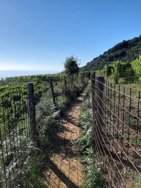 Cinque Terre Italia 2020 Hermoso Paisaje Pueblo Pesquero Costero Vista — Foto de Stock