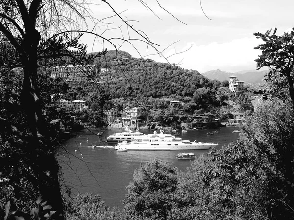 Portofino Itália 2021 Bela Baía Com Casas Coloridas Portofino Nos — Fotografia de Stock