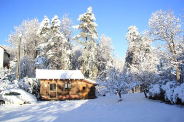 Liguria, İtalya - 22 Aralık 2020: İtalya 'daki ilk yoğun kar yağışı. Gri ve mavi gökyüzü ile beyaz arkaplanın güzel fotoğrafları. Kar ve birkaç buzlu ağaç..