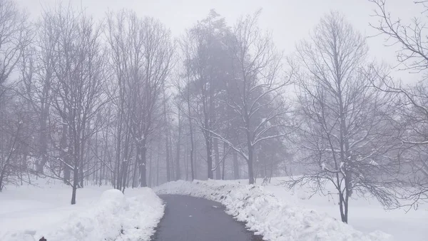 Лигурия Италия Декабря 2020 Первый Сильный Снег Деревни Италии Красивая — стоковое фото