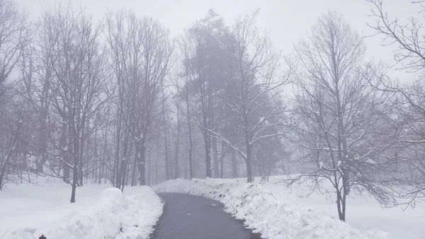 Ligurien Italien Dezember 2020 Der Erste Schwere Schnee Aus Dem — Stockfoto