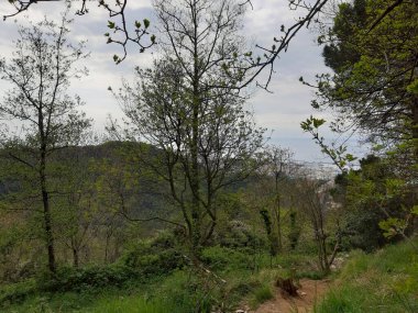 Cenova 'nın etrafındaki dağları keşfetmek. Şehrin panoramik manzarası. Arka planda gri gökyüzü. Baharın ilk yeşil yaprakları.
