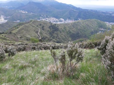 Cenova 'nın etrafındaki dağları keşfetmek. Şehrin panoramik manzarası. Arka planda gri gökyüzü. Baharın ilk yeşil yaprakları.