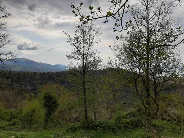 发现热那亚周围的山脉全景全景城市 背景是灰色的天空 春天的第一片绿叶 — 图库照片