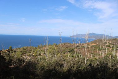 Elba, İtalya 01 Eylül 2021: Elba Adası 'ndan güzel yerler. Adanın havadan görüntüsü. Sahillerin yakınındaki küçük ünlü köyler. Yaz turistik yerleri. Arka planda bulutlar ve mavi gökyüzü.