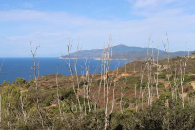 Elba, İtalya 01 Eylül 2021: Elba Adası 'ndan güzel yerler. Adanın havadan görüntüsü. Sahillerin yakınındaki küçük ünlü köyler. Yaz turistik yerleri. Arka planda bulutlar ve mavi gökyüzü.
