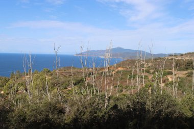 Elba, İtalya 01 Eylül 2021: Elba Adası 'ndan güzel yerler. Adanın havadan görüntüsü. Sahillerin yakınındaki küçük ünlü köyler. Yaz turistik yerleri. Arka planda bulutlar ve mavi gökyüzü.