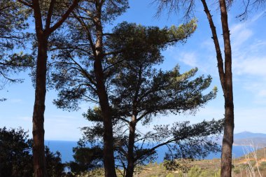 Elba, İtalya 01 Eylül 2021: Elba Adası 'ndan güzel yerler. Adanın havadan görüntüsü. Sahillerin yakınındaki küçük ünlü köyler. Yaz turistik yerleri. Arka planda bulutlar ve mavi gökyüzü.