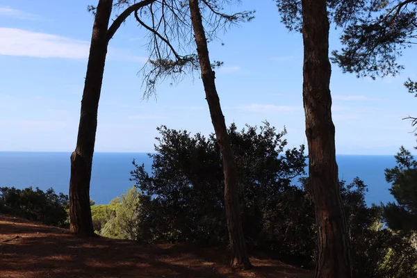 Elba, İtalya 01 Eylül 2021: Elba Adası 'ndan güzel yerler. Adanın havadan görüntüsü. Sahillerin yakınındaki küçük ünlü köyler. Yaz turistik yerleri. Arka planda bulutlar ve mavi gökyüzü.