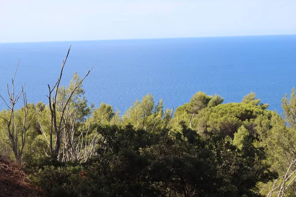 Elba Itália Setembro 2021 Belos Lugares Ilha Elba Vista Aérea — Fotografia de Stock