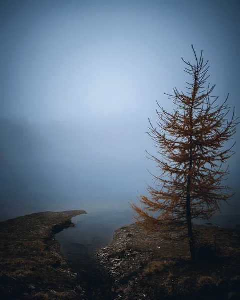 Pohled Mlhavé Jezero Mortirolo Horách — Stock fotografie