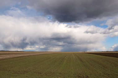 Yağmurdan önce kötü havada gök gürültülü bulutlar. Tarımsal alanda dramatik bulutlar.