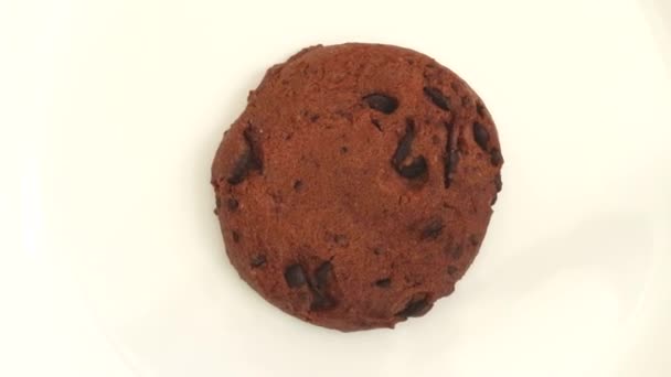 Biscuit Cocoa Coating Drops Rotates Plate — Stock Video