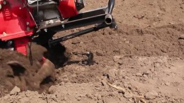 Tarla ekip biçmek için bahçe dümeni, toprağı gevşetiyor. El bilgisayarı motorlu saban