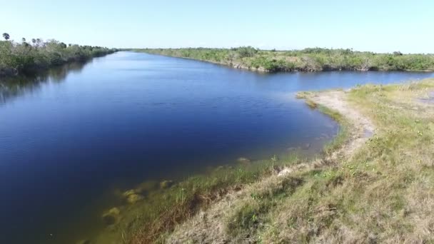 Bir kanal Everglades Milli Parkı'nda hava — Stok video