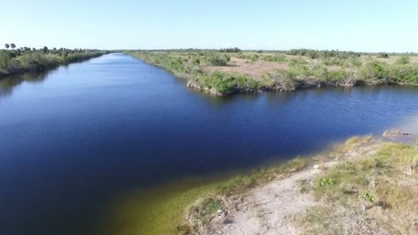 Aérea de un canal en el Parque Nacional de los Everglades — Vídeos de Stock