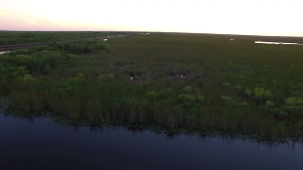 Εναέρια της Everglades National Park μετά από το ηλιοβασίλεμα με το μονοπάτι Tamiami — Αρχείο Βίντεο