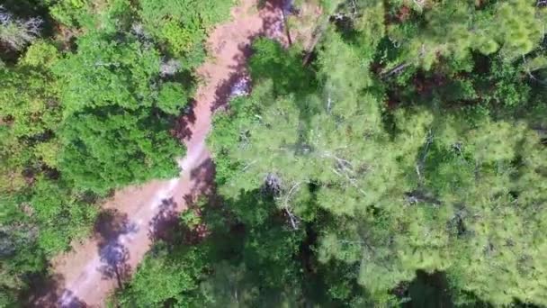 Luchtfoto van zwaar beboste bos — Stockvideo