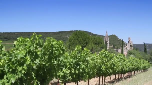 Kebun anggur di Perancis — Stok Video