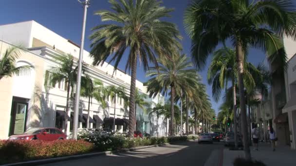 Rodeo drive — Stok video