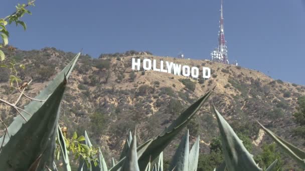 Hollywood sign — Stockvideo