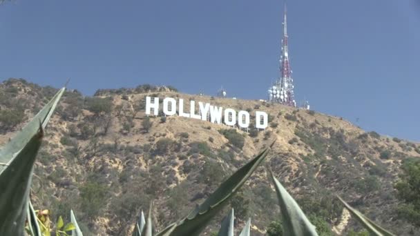 Hollywood-skylten — Stockvideo