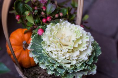 Süs lahana ve kabak