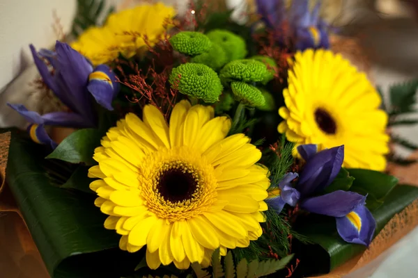 Gerbera giallo mazzo — Foto Stock