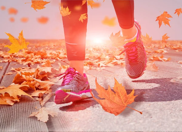 autumn runners feet and shoes in autumn background falling leaves on the ground sports sun  background