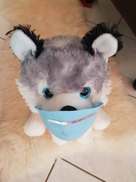 Covid Coronavirus Protection Mask Child Toy Dog Couch — 스톡 사진
